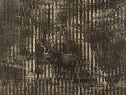 STEPHEN ALDRICH - The Monarch of the Forest, collage, abstract, landscape, animal