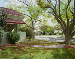 TIM BRADLEY - Doran Street, photograph, house, tree, California