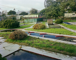 TIM BRADLEY - Miniature Gold, photograph, landscape, California