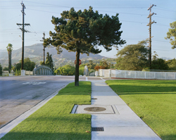 TIM BRADLEY - Tree and Bridge, photograph, landscape, California