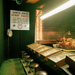 JEFF BROUWS - Inside the Live Reptile Tent, Derby Race, photograph