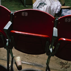 JEFF BROUWS - Inside the Live Reptile Tent, Madonna, photograph