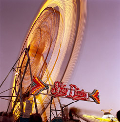 JEFF BROUWS - Inside the Live Reptile Tent, Sky Diver, Magenta, photograph