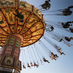 JEFF BROUWS - Inside the Live Reptile Tent, Waveswinger, photograph