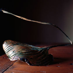 WENDY BURTON - Botanical, photograph, leaf, still life