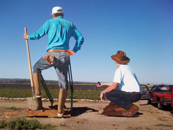 JOHN CERNEY - Farmer and Irrigator, Salinas, California, painting, mural