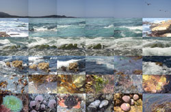 MATTHEW CHASE-DANIEL - Carmel California, looking towards Point Lobos, photograph, collage, landscape