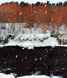 MATTHEW CHASE-DANIEL - Willows in Snow on the Pecos River, photograph, collage, landscape