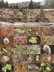 MATTHEW CHASE-DANIEL - Independence Pass, Colorado, photograph, collage, landscape