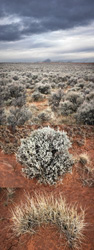 MATTHEW CHASE-DANIEL - Moab, Utah, photograph, collage, landscape