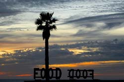 RICHARD EHRLICH - Malibu, photograph, California, palm tree, sunset