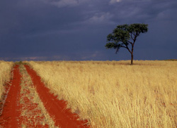 RICHARD EHRLICH - Namibia Landscape No. 30, photograph, landscape, surreal 