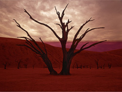 RICHARD EHRLICH - Namibia Landscape No. 7, photograph, landscape, surreal