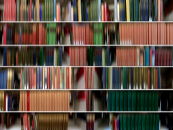 DANAE FALLIERS - library 11, photograph, abstract, books