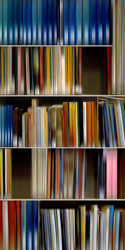 DANAE FALLIERS - library 37, photograph, abstract, books