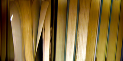 DANAE FALLIERS - reverse 9, photograph, abstract, library, books