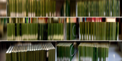 DANAE FALLIERS - library 19 st basil, photograph, abstract, books