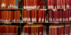 DANAE FALLIERS - library 20 cicero, photograph, abstract, books