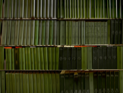 DANAE FALLIERS - library 28 us news, photograph, abstract, books