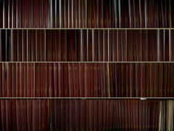 DANAE FALLIERS - library 29 variety, photograph, abstract, books