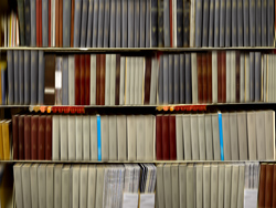 DANAE FALLIERS, library 34 new mexico, photograph, abstract, books