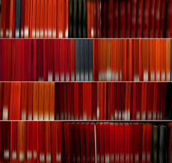 DANAE FALLIERS - library 49 euclides, photograph, abstract, books