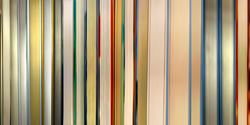 DANAE FALLIERS - reverse 11, photograph, abstract, library, books