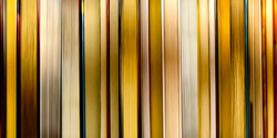 DANAE FALLIERS - reverse 12, photograph, abstract, library, books