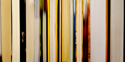 DANAE FALLIERS - reverse 15, photograph, abstract, library, books