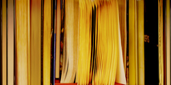 DANAE FALLIERS - reverse 17, photograph, abstract, library, books