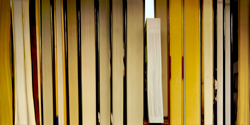 DANAE FALILERS - reverse 19, photograph, abstract, library, books