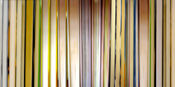 DANAE FALLIERS - reverse 20, photograph, abstract, library, books