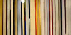 DANAE FALLIERS - reverse 14, photograph, abstract, library, books