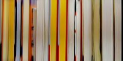 DANAE FALLIERS - reverse 8, photograph, abstract, library, books