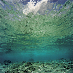 JAMES FEE - Crystal Sky, underwater, seascape, deep ocean, clouds, reflecting water