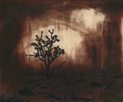 JAMES FEE - Thunder Valley, Joshua Tree, sepia color, dark, abstract landscape, empty space with tree