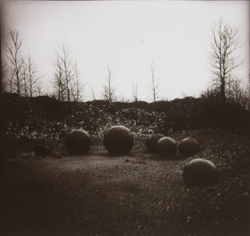 JAMES FEE - Untitled CT12, Gary, black and white, landscape, globes on ground, trees