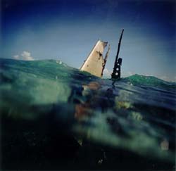 JAMES FEE - Aluminum Shark, underwater, wreckage, seascape