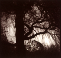 JAMES FEE - A World Under a Tree, NY, black and white photograph with sepia, globe in grass, large tree overhead