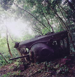 JAMES FEE - Valentino's tank, tank in forest, daylight