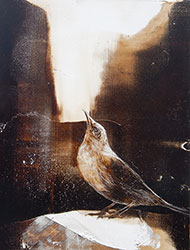 JAMES GRIFFITH - Bird Looking Up, painting, tar, animal, studies, rabbit, realism, abstract