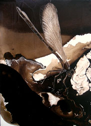 JAMES GRIFFITH - La Brea - Mayfly, painting, tar, animal, insect, abstract