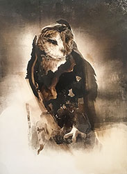 JAMES GRIFFITH - Owl 2, painting, tar, animal, bird, realism, abstract