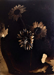 JAMES GRIFFITH - Pollinator, painting, tar, insect, bee, animal, floral, abstract, realism