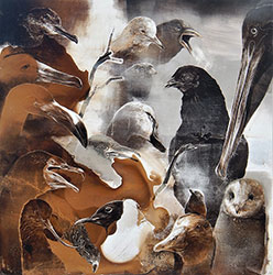 JAMES GRIFFITH - Strangers and Relatives - Beaks, painting, tar, animal, studies, realism, abstract