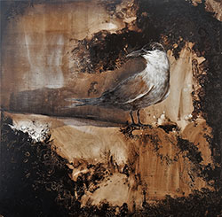 JAMES GRIFFITH - Arctic Tern - Relative, bird, painting, tar, figurative, animal, abstract, realism