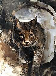 JAMES GRIFFITH - bobcat, painting, tar, animals, figurative, realism, abstract