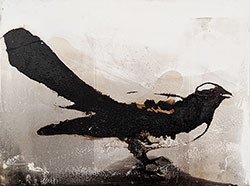 JAMES GRIFFITH - Bird, painting, tar, animals, figurative, realism, abstract