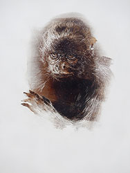 JAMES GRIFFITH - Monkey - Relative, painting, tar, figurative, animal, abstract, realism