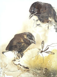 JAMES GRIFFITH - Natural Selection - Young Crows, painting, tar, animal, abstract